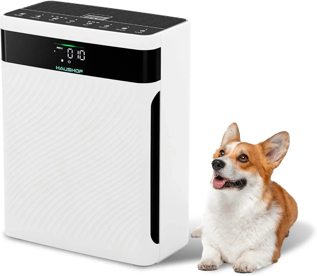 Purificatore d'aria, HAUSHOF, Rimuove 99,97% di Polvere